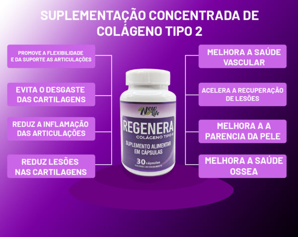 Suplementação Concentrada de Colágeno Tipo 2 - Image 3